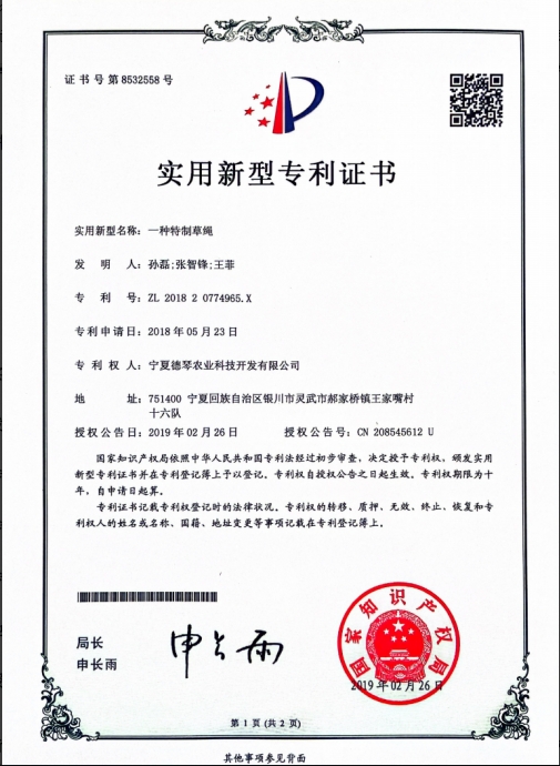 宁夏在线看片的网站子