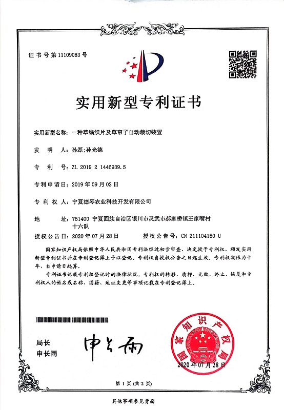 宁夏91看片在线下载子