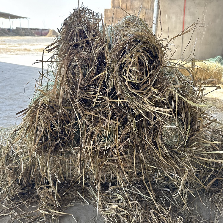 植物纤维草毯