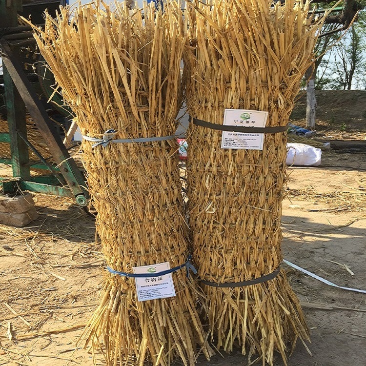 宁夏91看片在线下载子