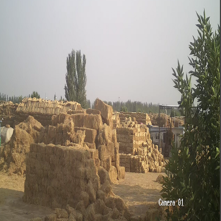 宁夏91看片在线下载厂家